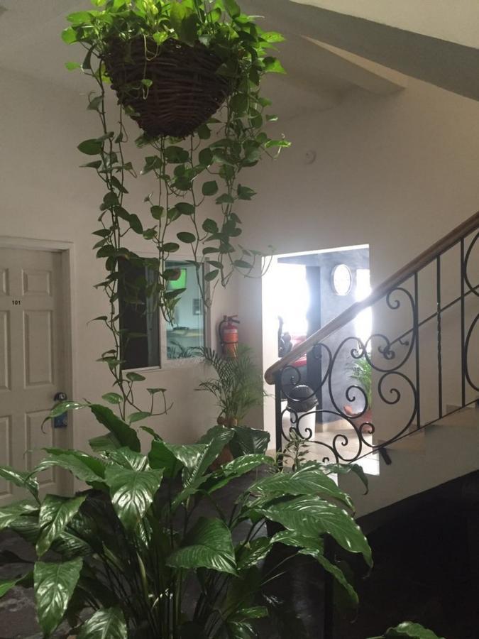 Casa Del Parque Vallarta プエルトバラータ エクステリア 写真